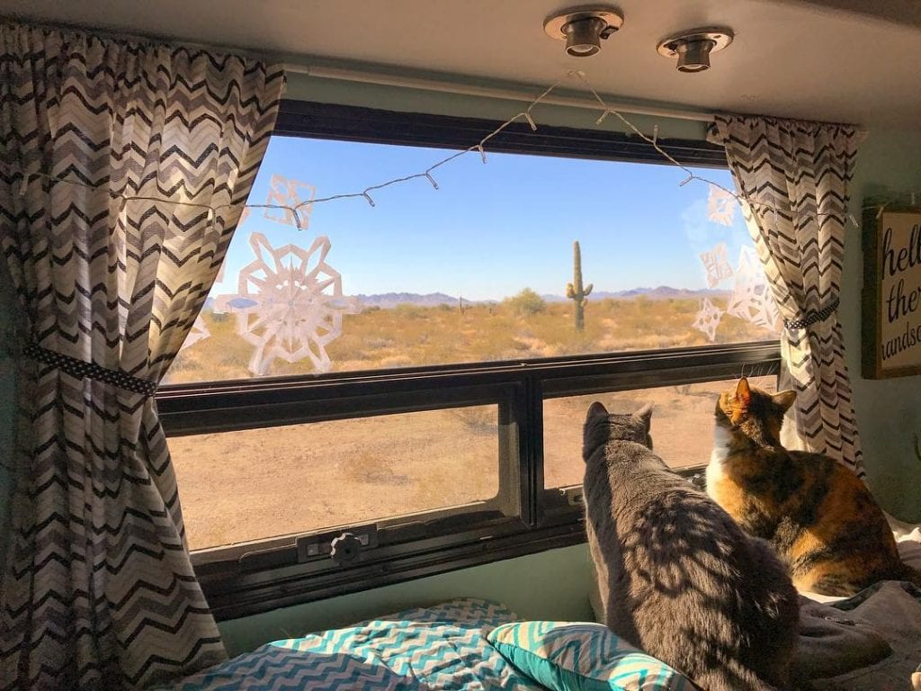 10 Tips & Tricks To Get Ready For Van Life With A Cat