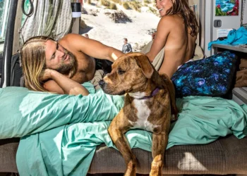 A-Teenagers-Guide-To-Vanlife-Daily