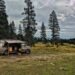 The-best-national parks-and-public lands-for-vanlife-camping-vanlifedaily
