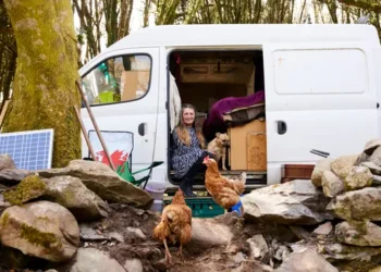 The-impact-of-the-pandemic-on-vanlife-and-road-travel-vanlifedaily