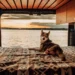 Vanlife-with-Pets-Tips-for-Traveling-with-Your-Furry-Friend-vanlifedaily